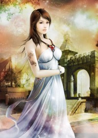 盛嫁无双:神医王爷不良妃