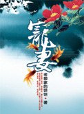 宠妻(爱妻如墨)
