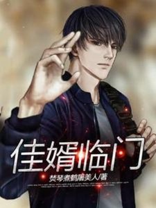 佳婿臨門