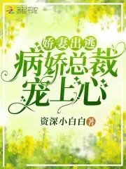 娇妻出逃，病娇总裁宠上心